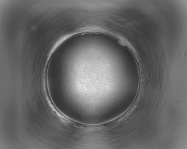 X0000081281440200701181731