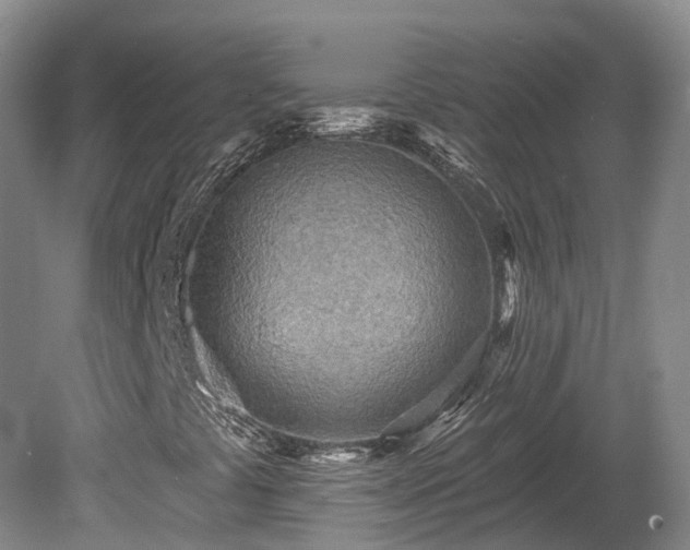 X0000081281441200701181731