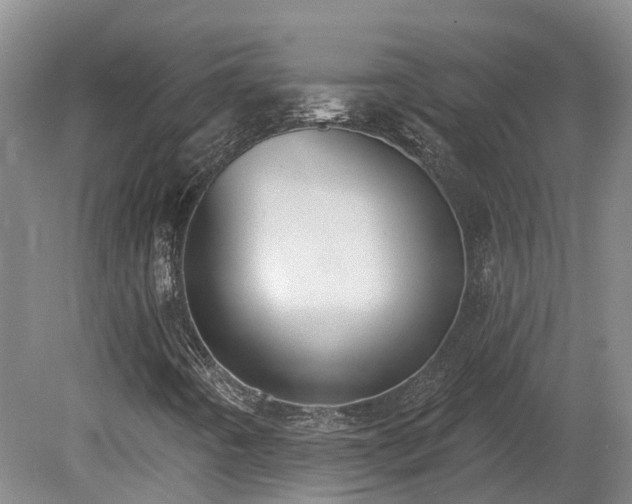X0000081281442200701181731