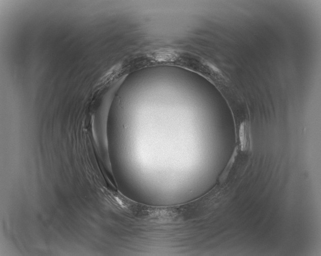 X0000081281443200701181731