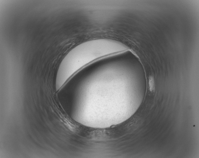 X0000081281444200701181730