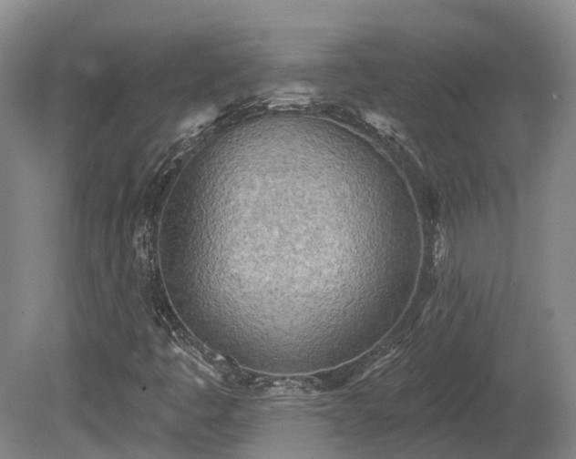 X0000081281445200701181730