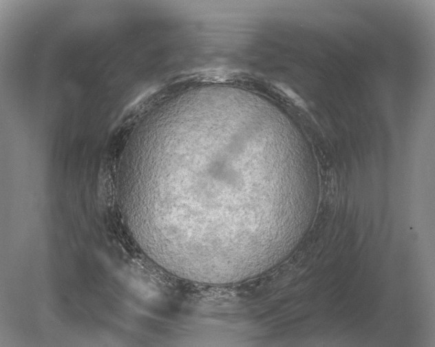 X0000081281446200701181730