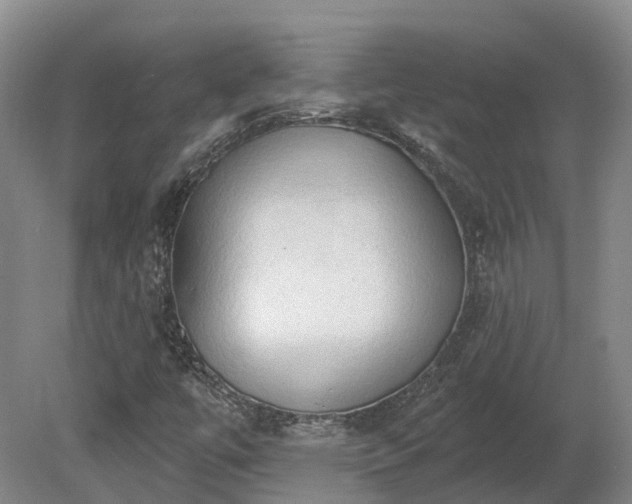 X0000081281447200701181730