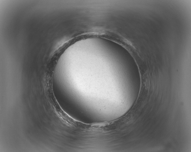 X0000081281448200701181730