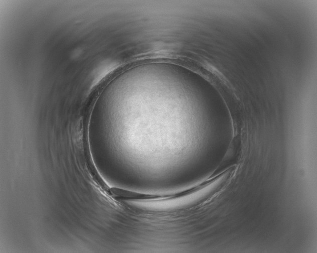 X0000081281450200701181730