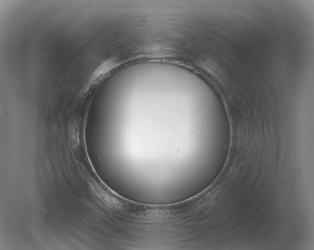 X0000081281451200701181730
