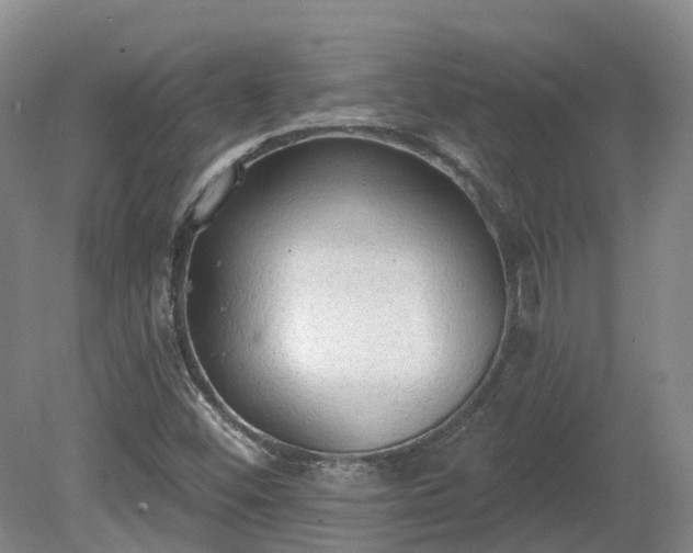 X0000081281452200701181730
