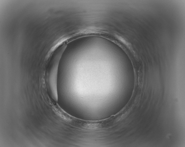 X0000081281453200701181730