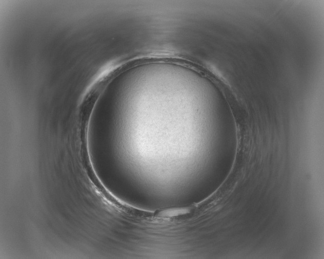 X0000081281456200701181730
