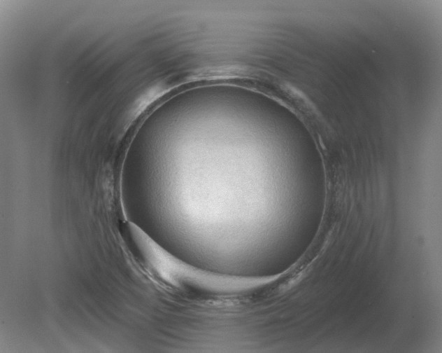 X0000081281457200701181730
