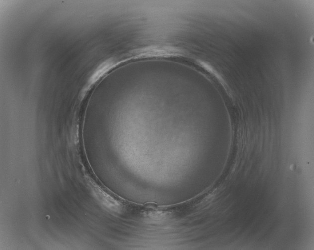 X0000081281459200701181730