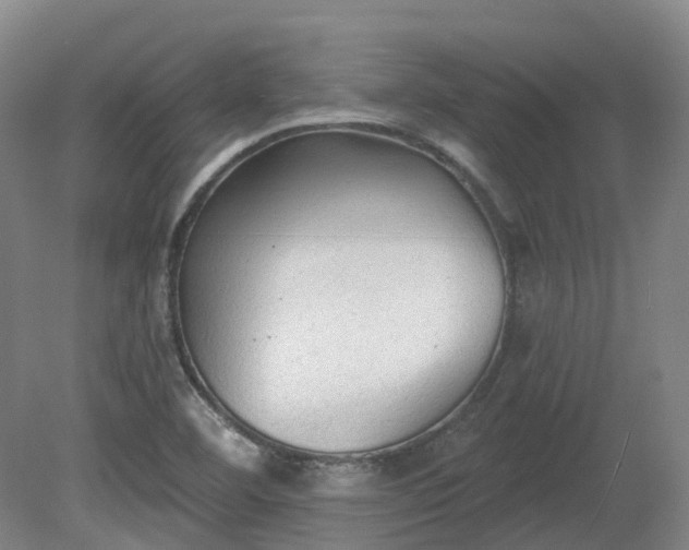 X0000081281460200701181730