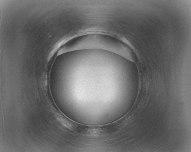 X0000081281461200701181730