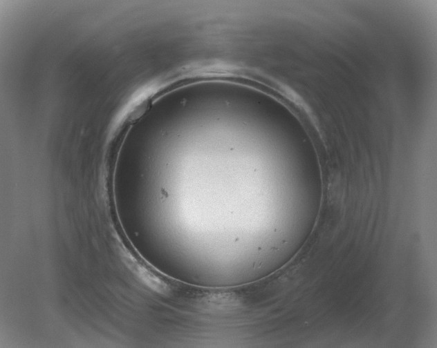 X0000081281464200701181730