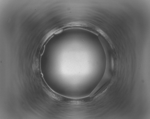 X0000081281465200701181730