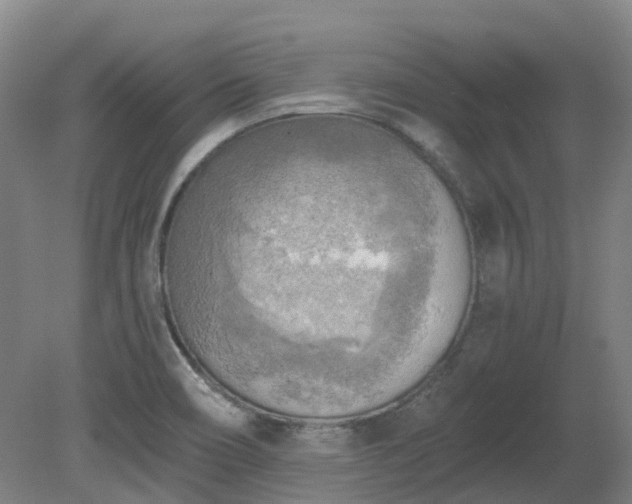 X0000081281466200701181730