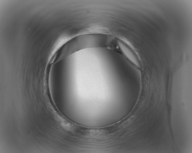 X0000081281469200701181730