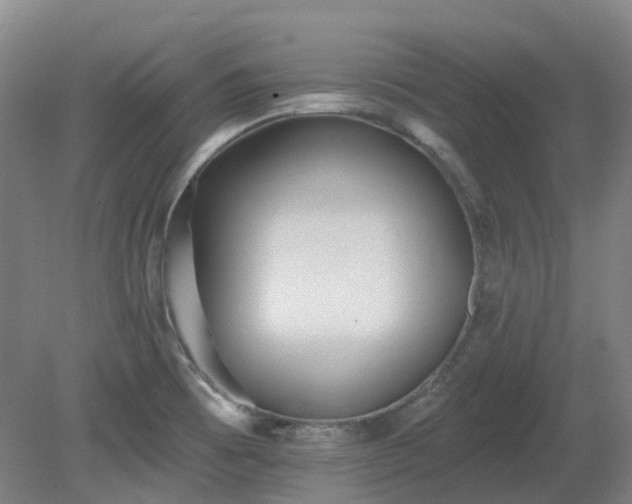 X0000081281473200701181730