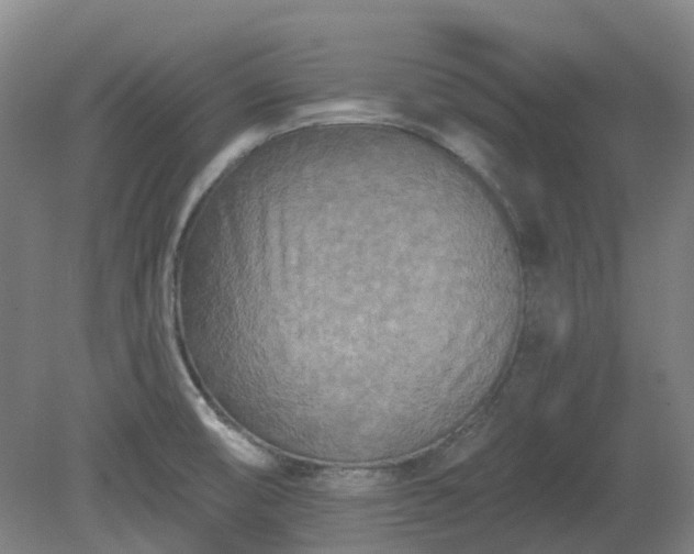X0000081281474200701181730