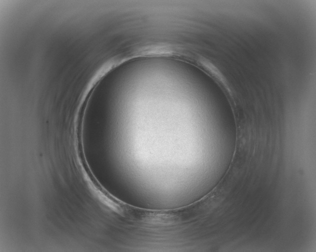 X0000081281475200701181730