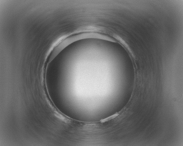 X0000081281477200701181730