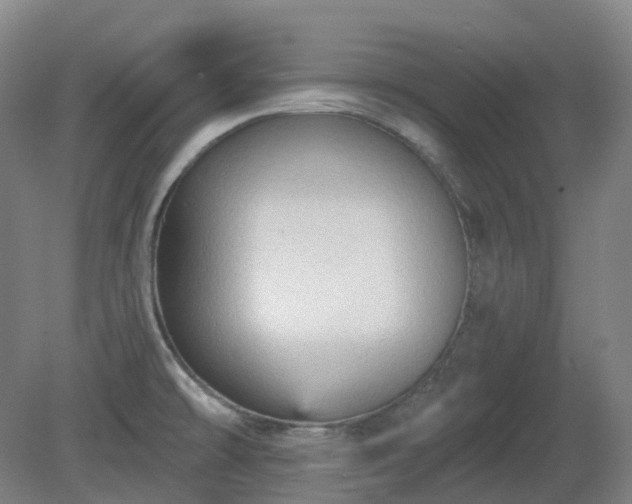 X0000081281478200701181730