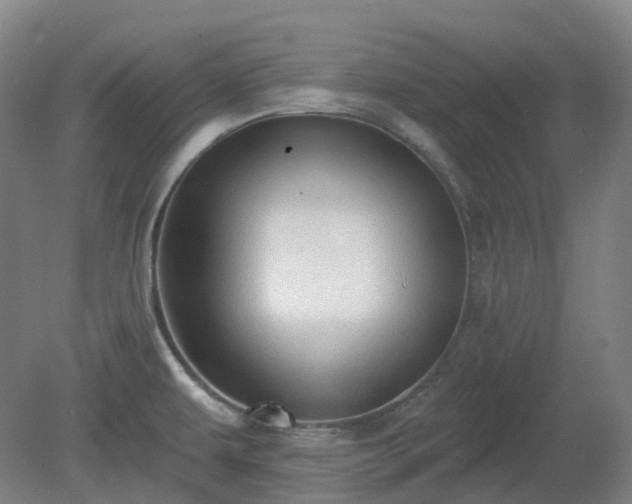 X0000081281479200701181730