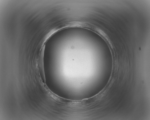 X0000081281481200701181730