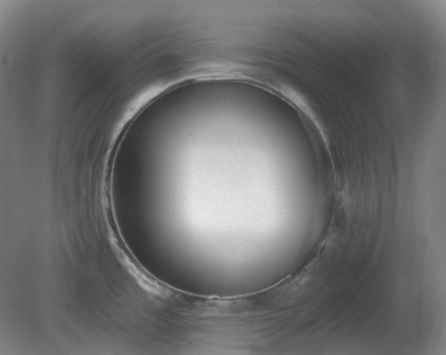 X0000081281485200701181730