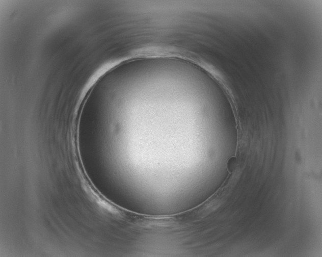X0000081281486200701181730