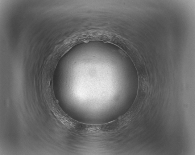 X0000081281489200701181729
