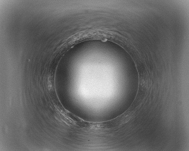 X0000081281490200701181729