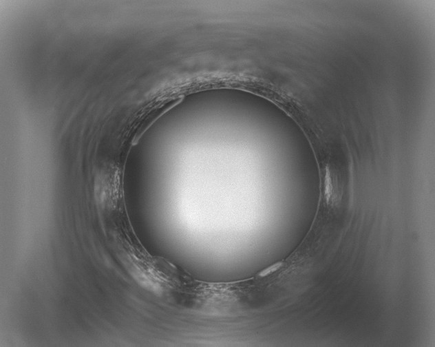 X0000081281492200701181729
