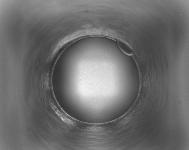 X0000081281499200701181729