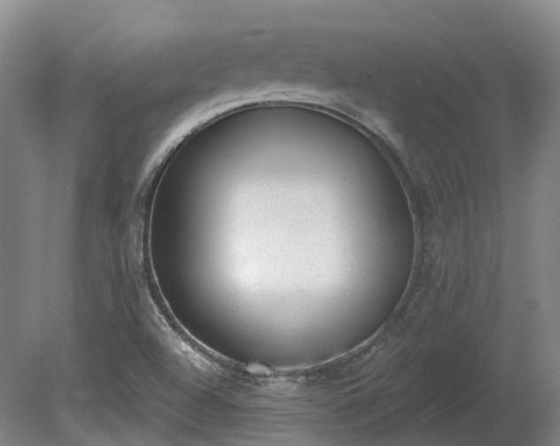 X0000081281504200701181729