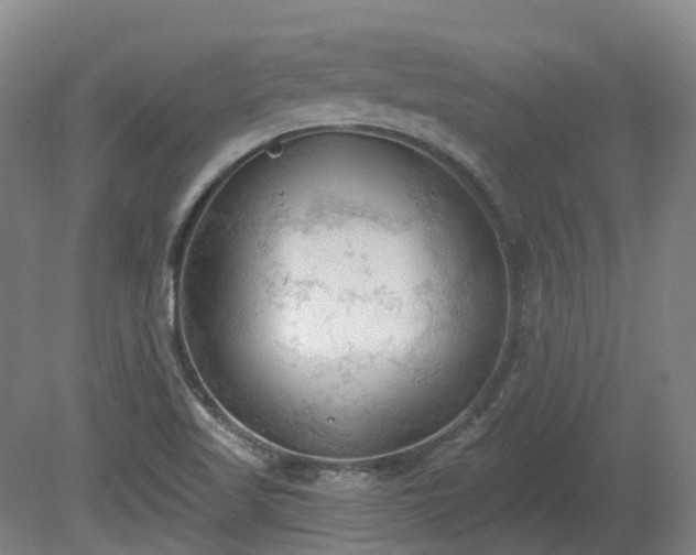 X0000081281509200701181729