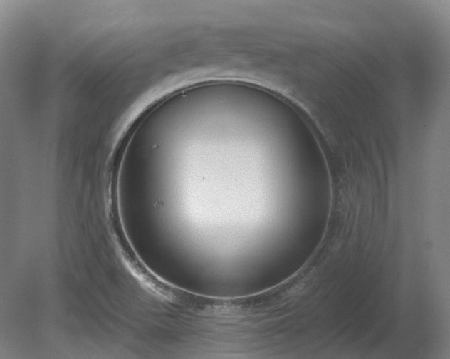 X0000081281511200701181729