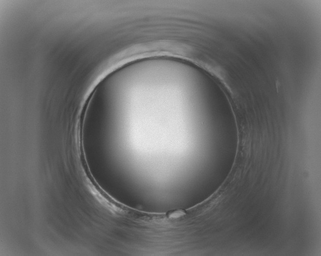 X0000081281516200701181729