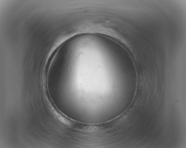X0000081281517200701181729