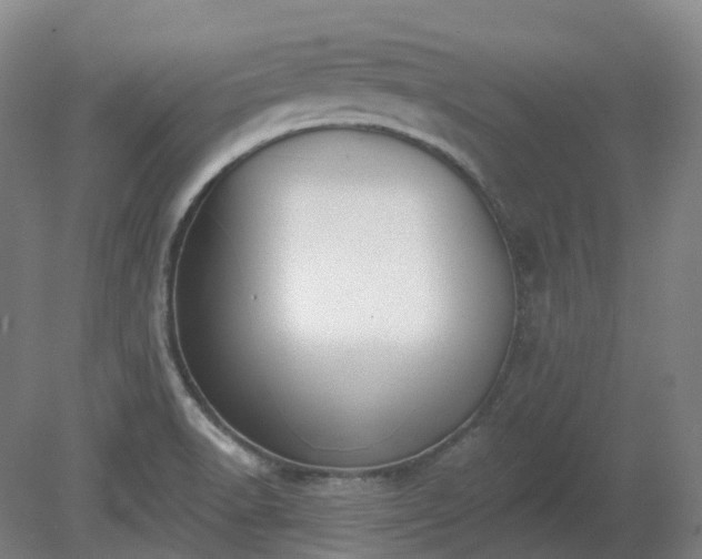 X0000081281518200701181729