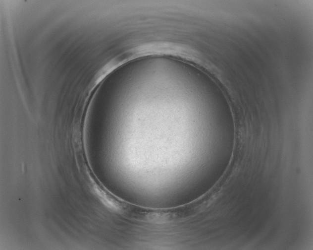 X0000081281521200701181729