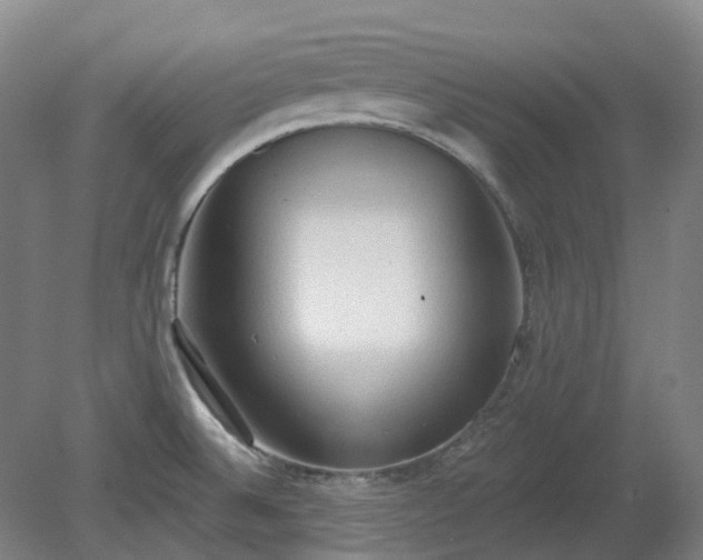 X0000081281524200701181730