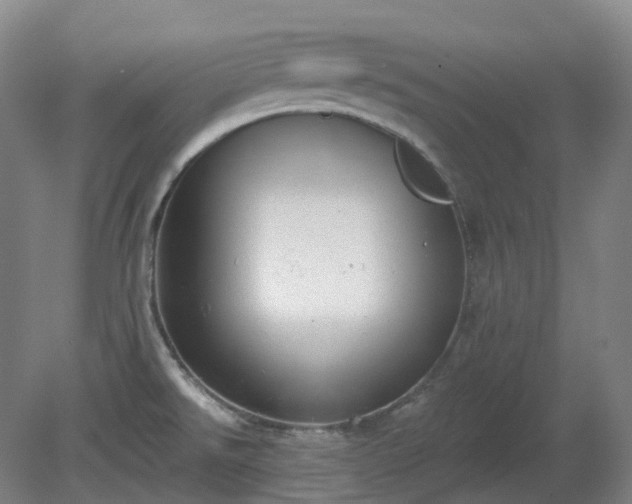 X0000081281526200701181730