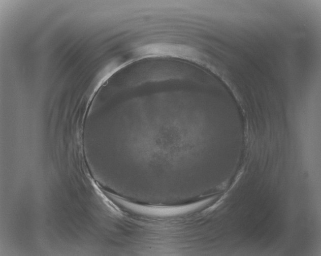 X0000081281529200701181730