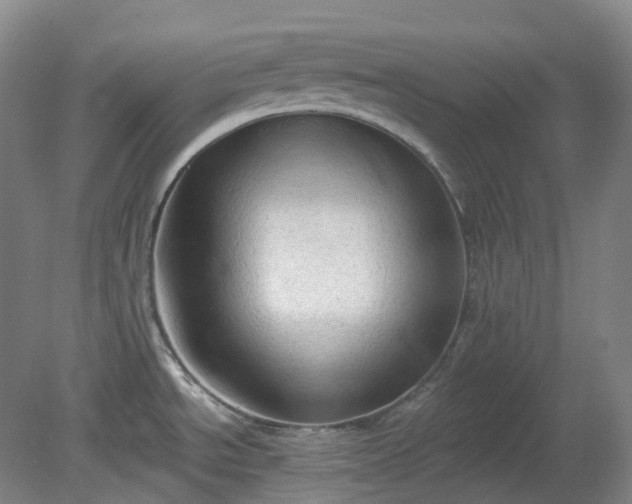 X0000081281534200701181730