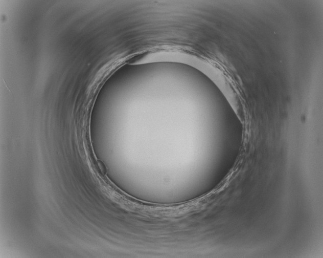 X0000081280001200701251639