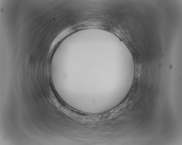 X0000081280004200701251639