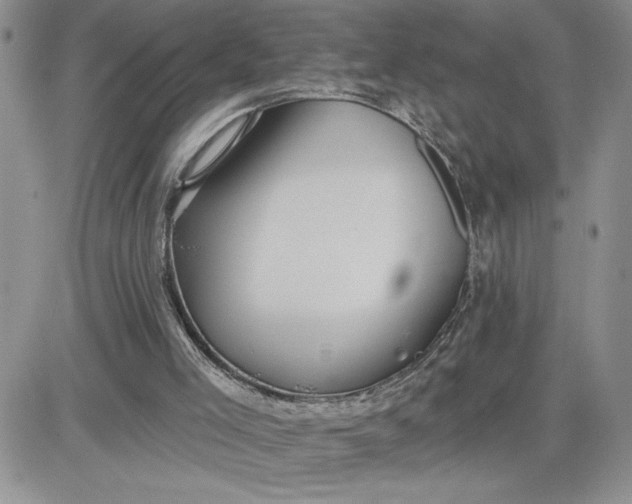 X0000081280005200701251639