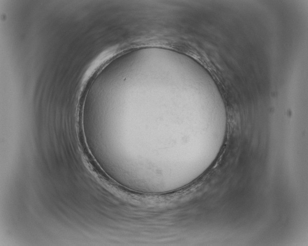 X0000081280006200701251639